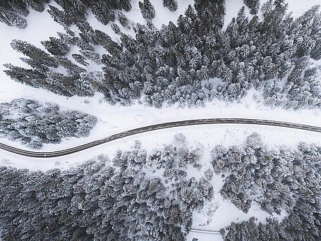 Bird eye’s view!, by Kimon Maritz