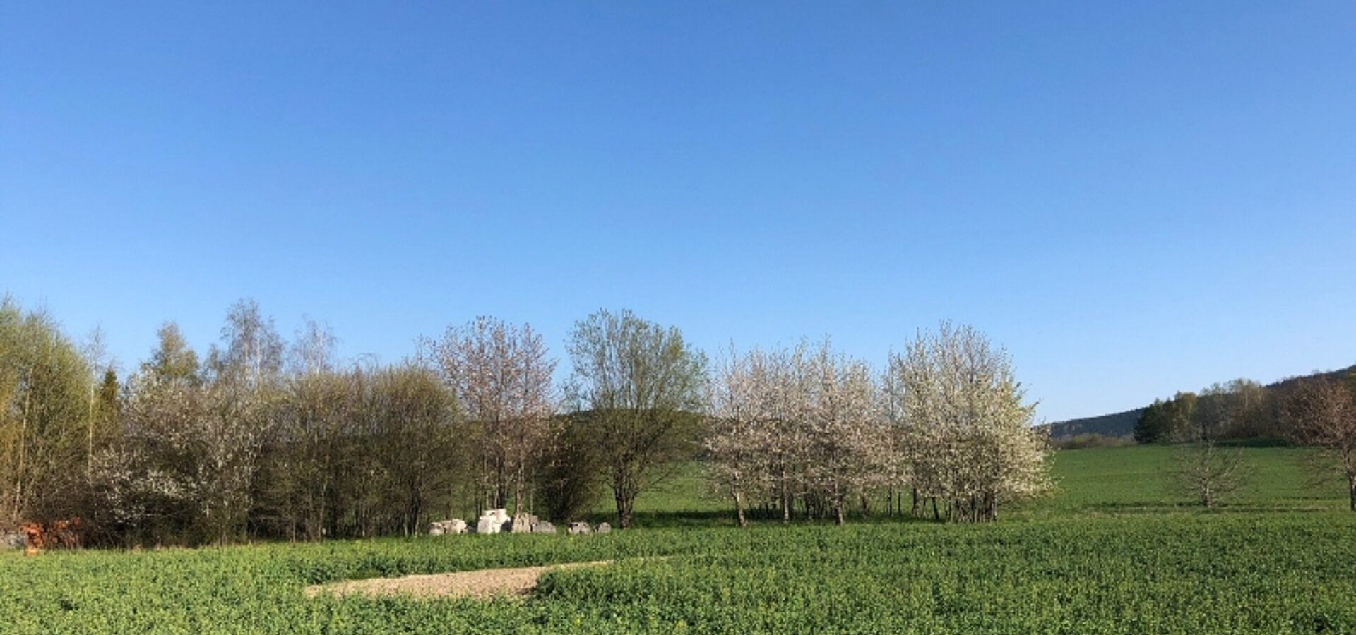 Ihr Garten von West (1)