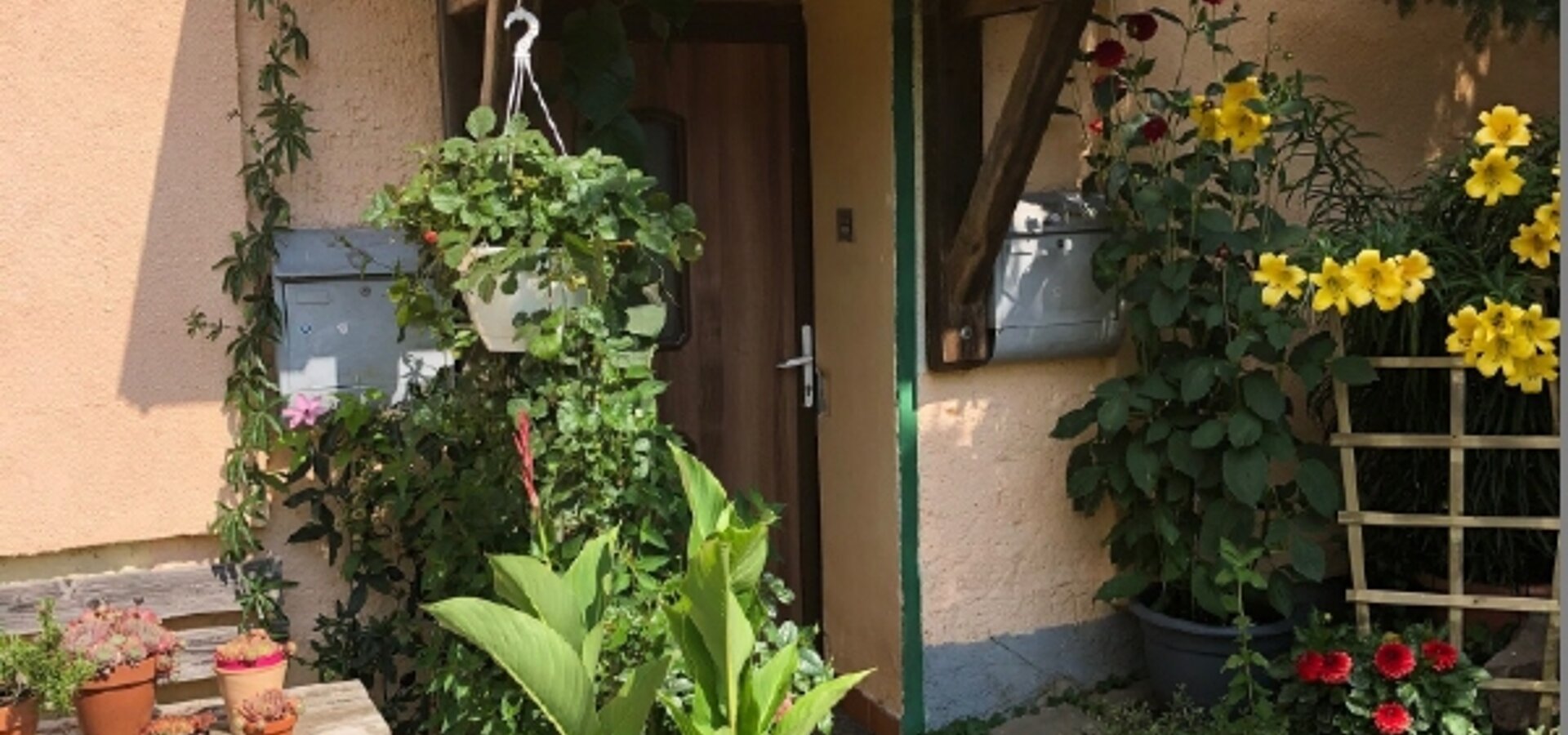 mittlerer Eingang Wohnhaus