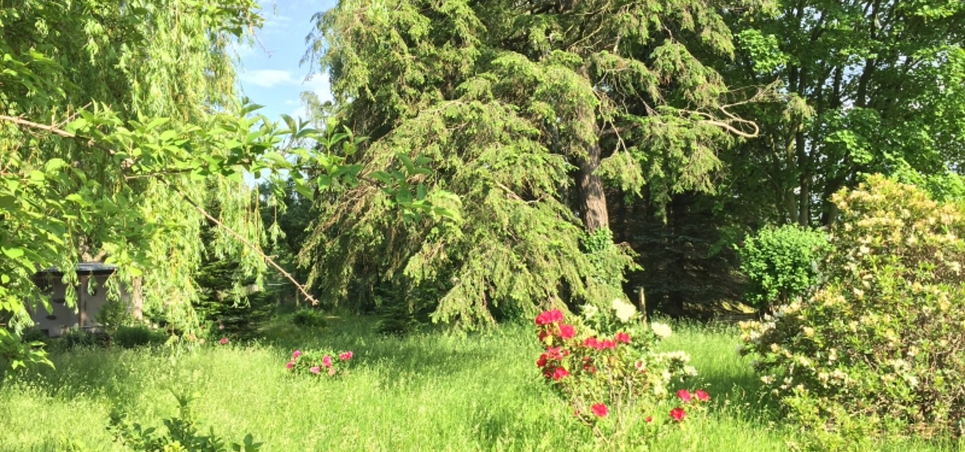 viel Grün