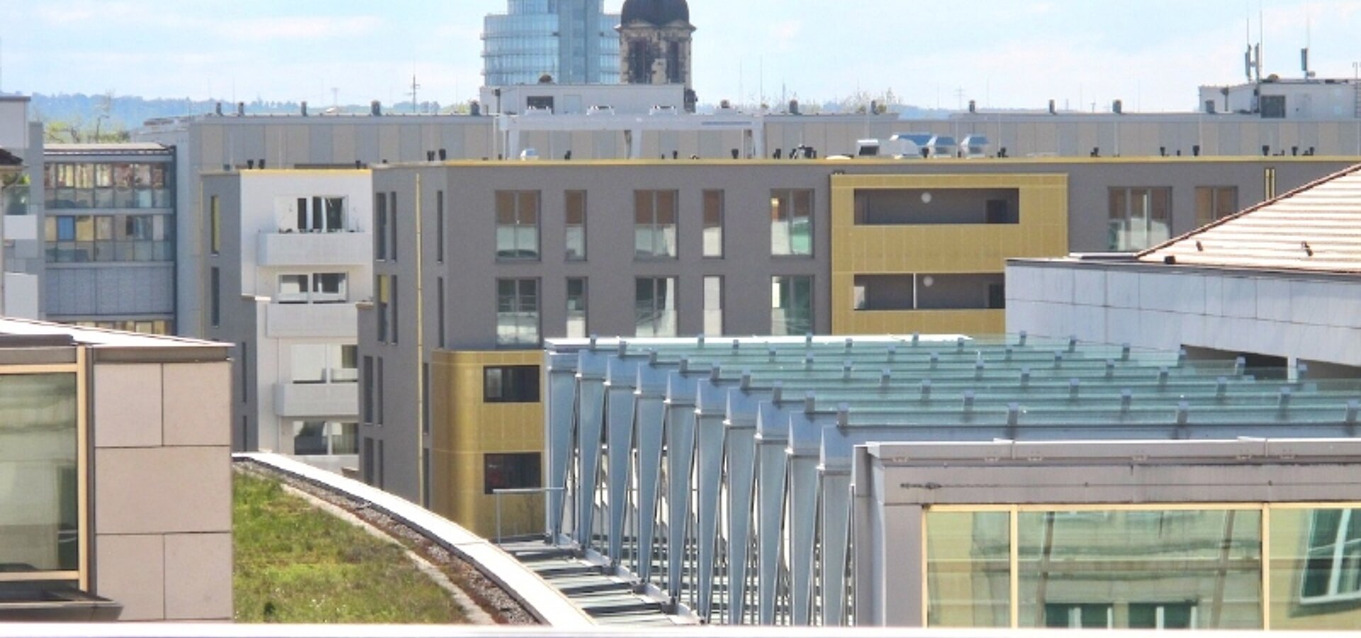 Blick über Dresden