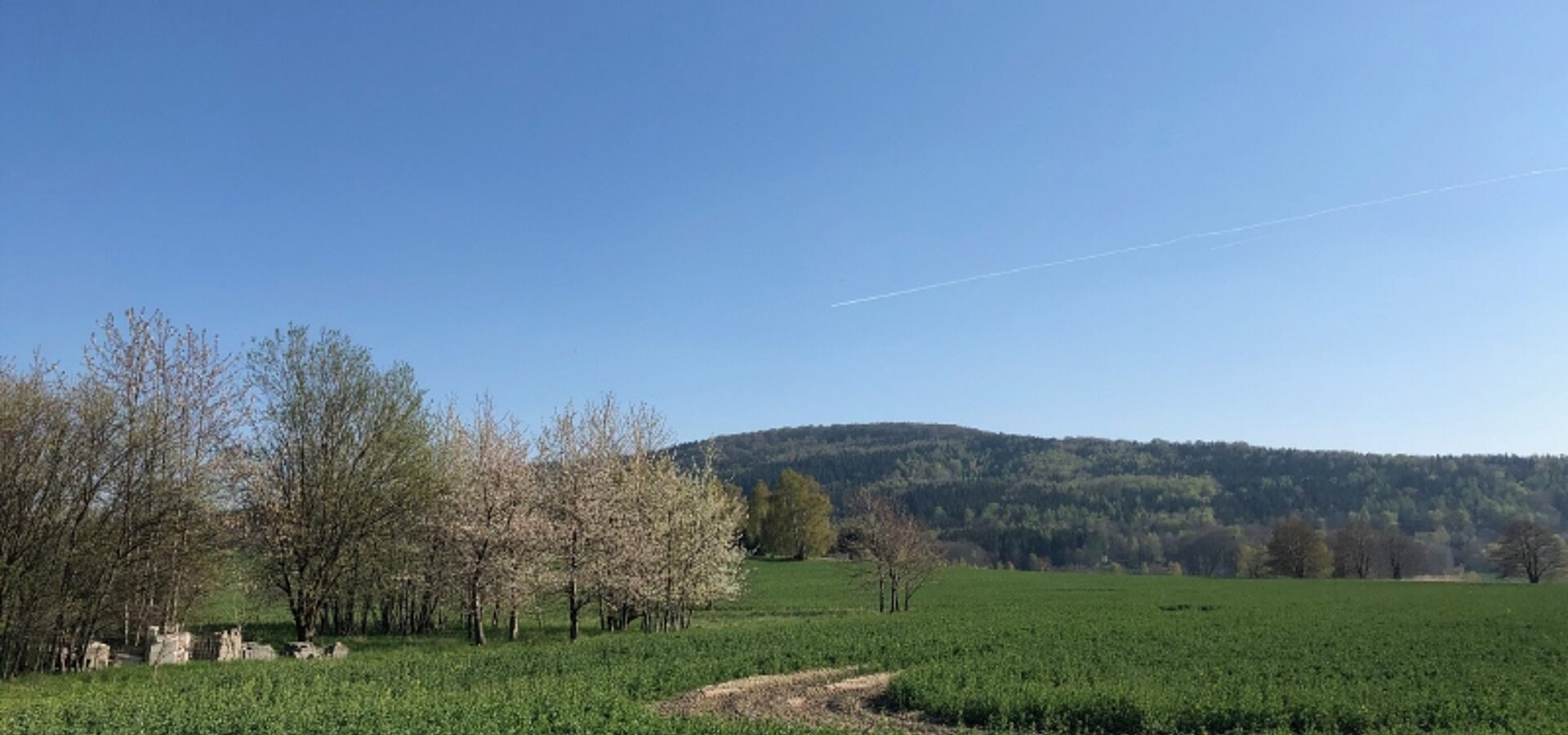 Ihr Garten und der Valtenberg