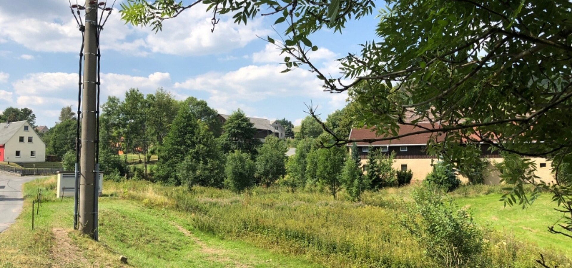 Grünland westlich der Straße (1)