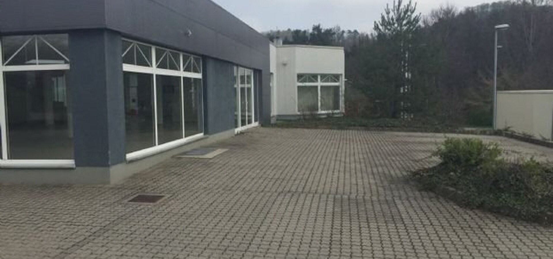 Freifläche
