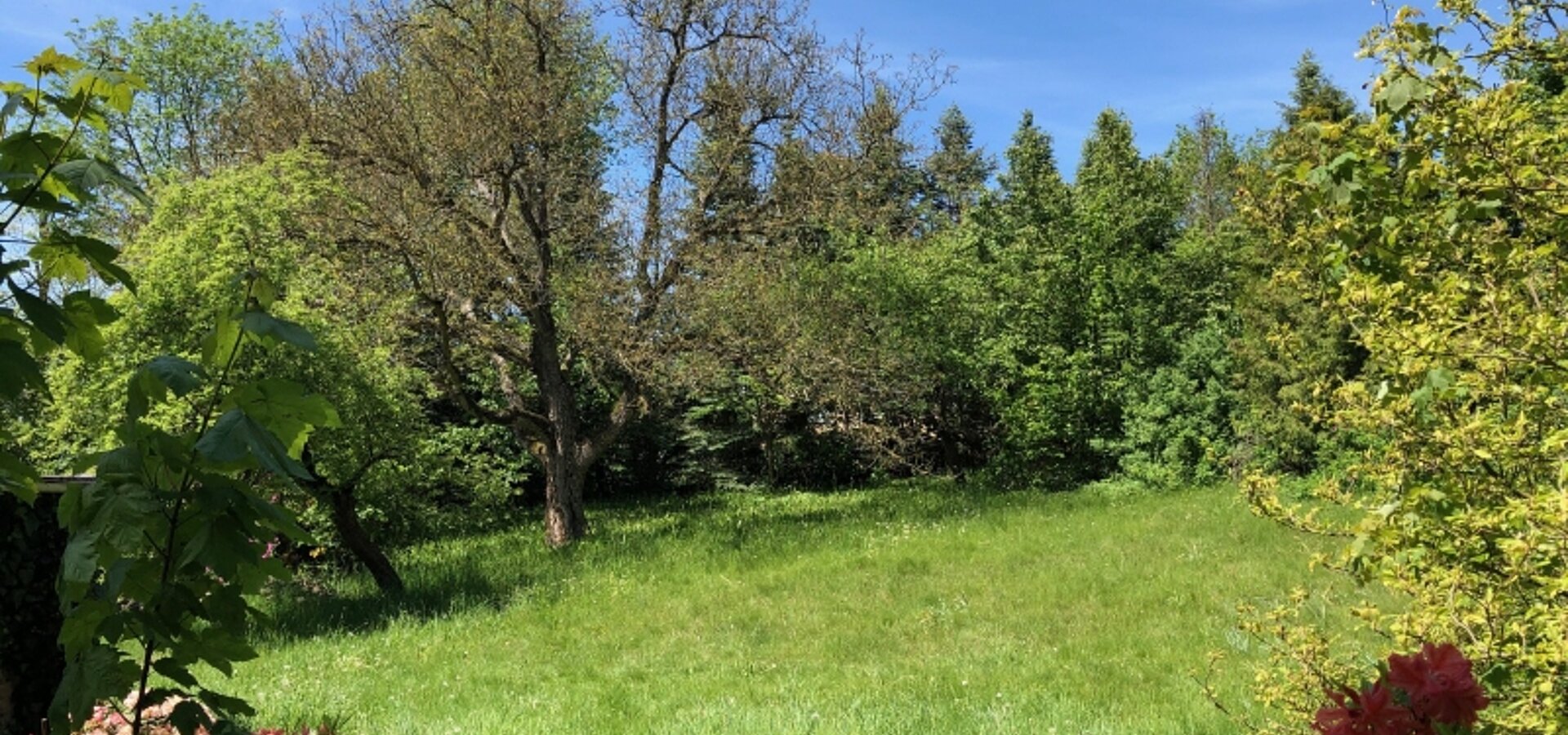 Garten auf Nordwest