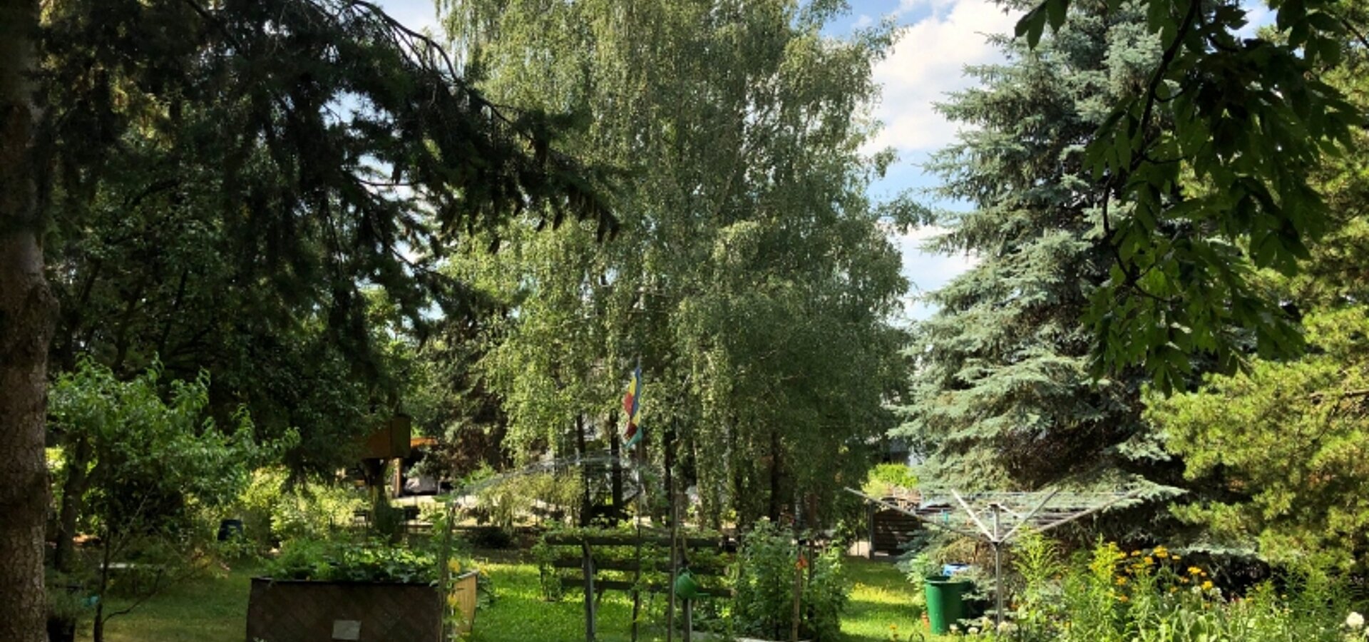 Garten (2)