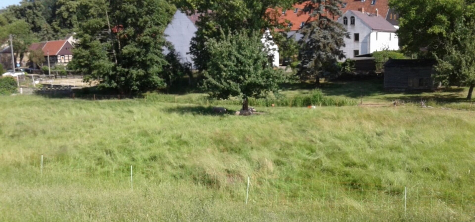 Blick nach Norden