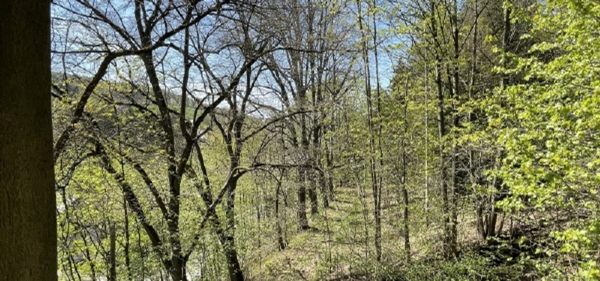 Blick aus dem DG nach Westen