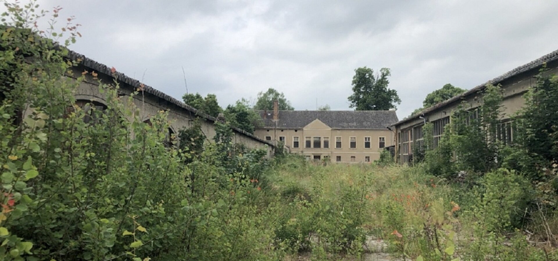 Ansicht