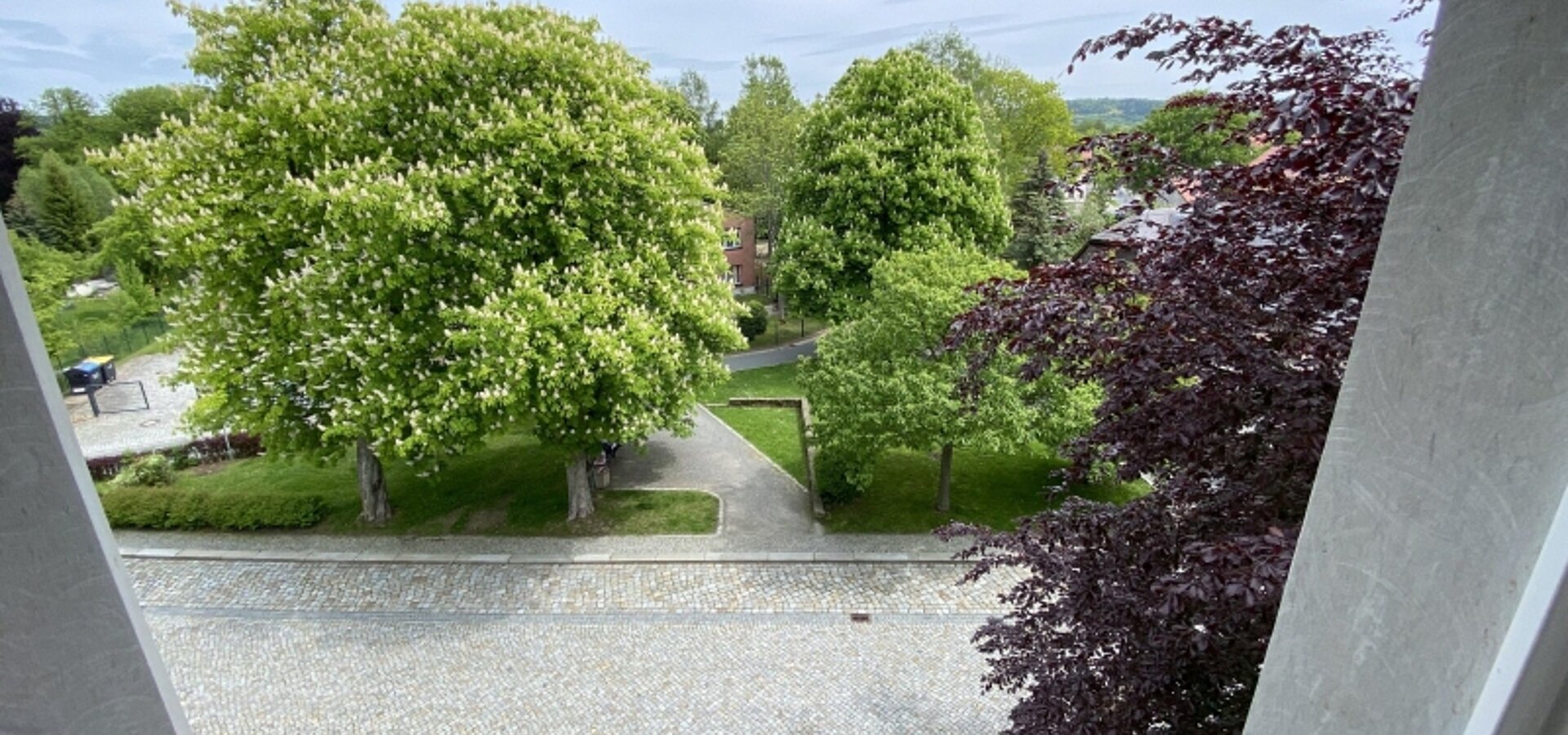 Blick aus dem DG (1)