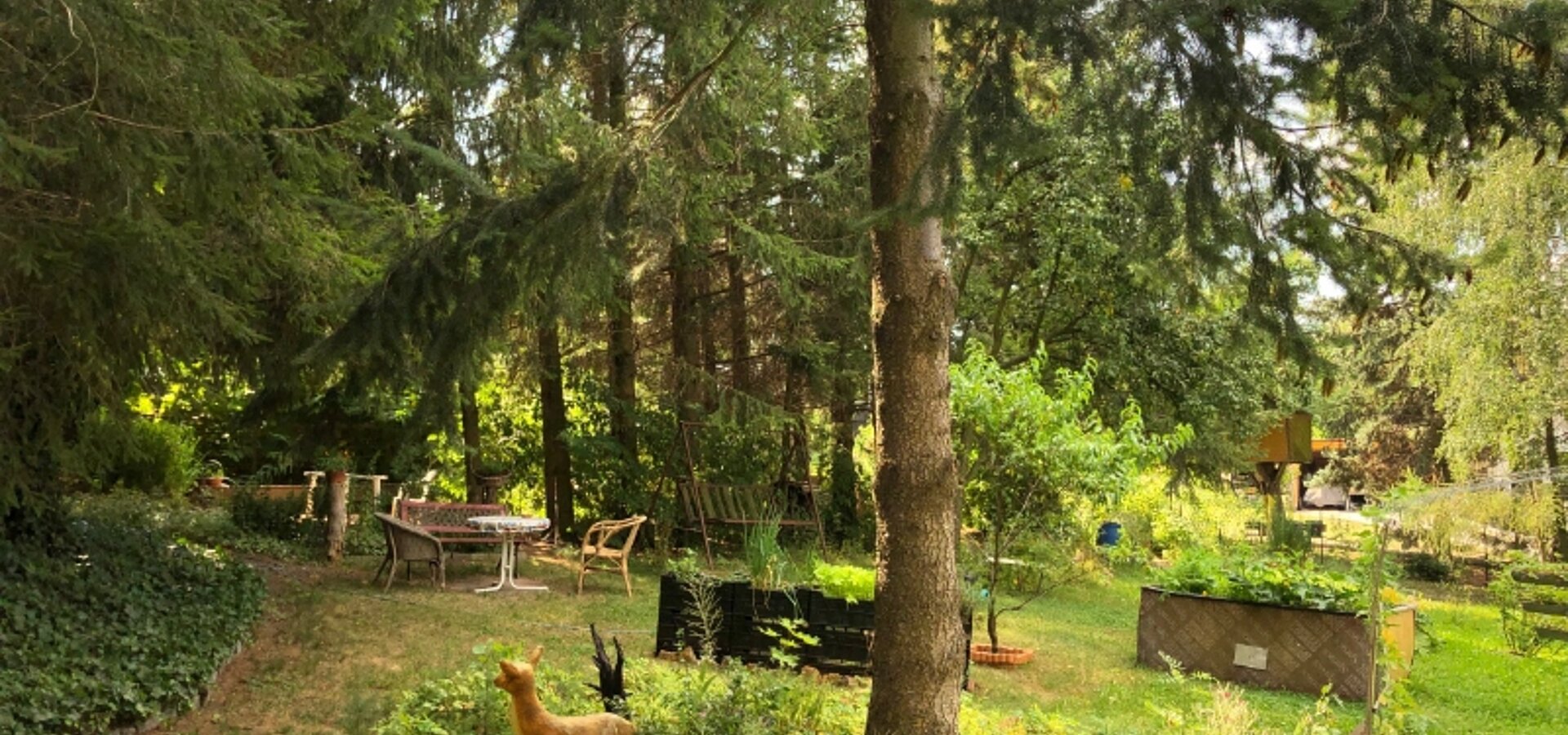 Garten (1)