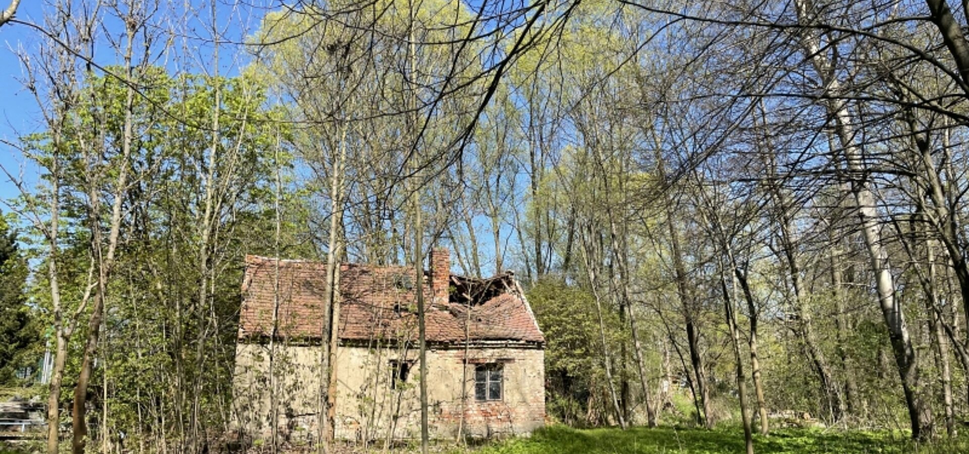 Gartenhaus (1)