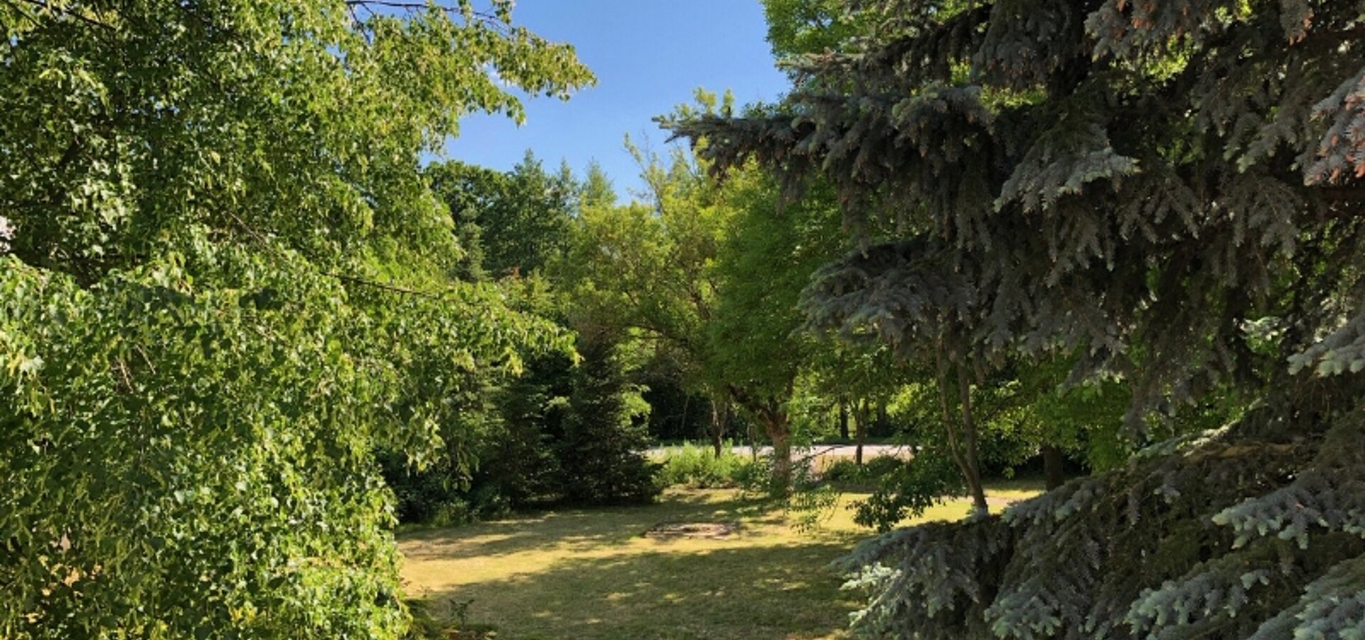 Blick von der Terrasse in den Garten (2)