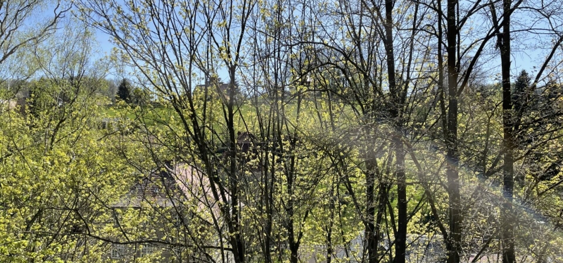 Blick aus dem DG nach Süden