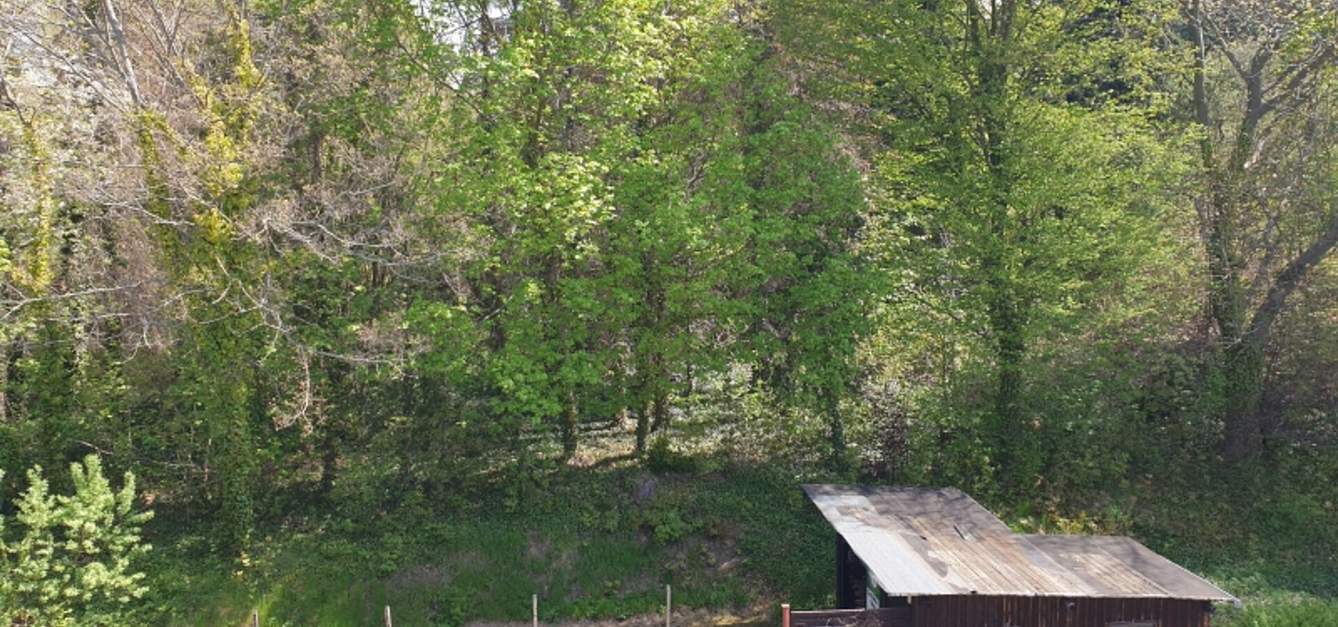 Garten auf Nordost (1)
