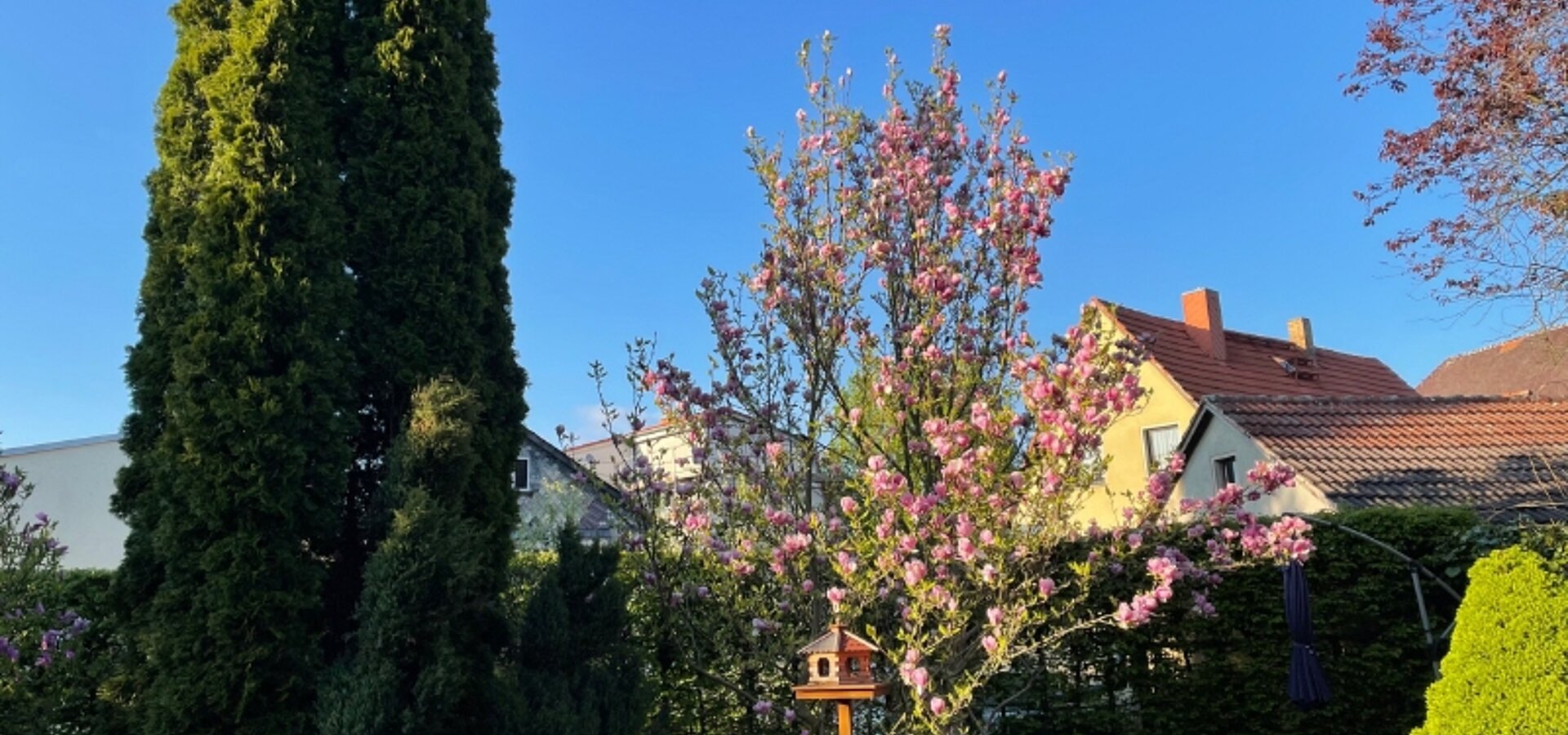Gartenromantik (10)