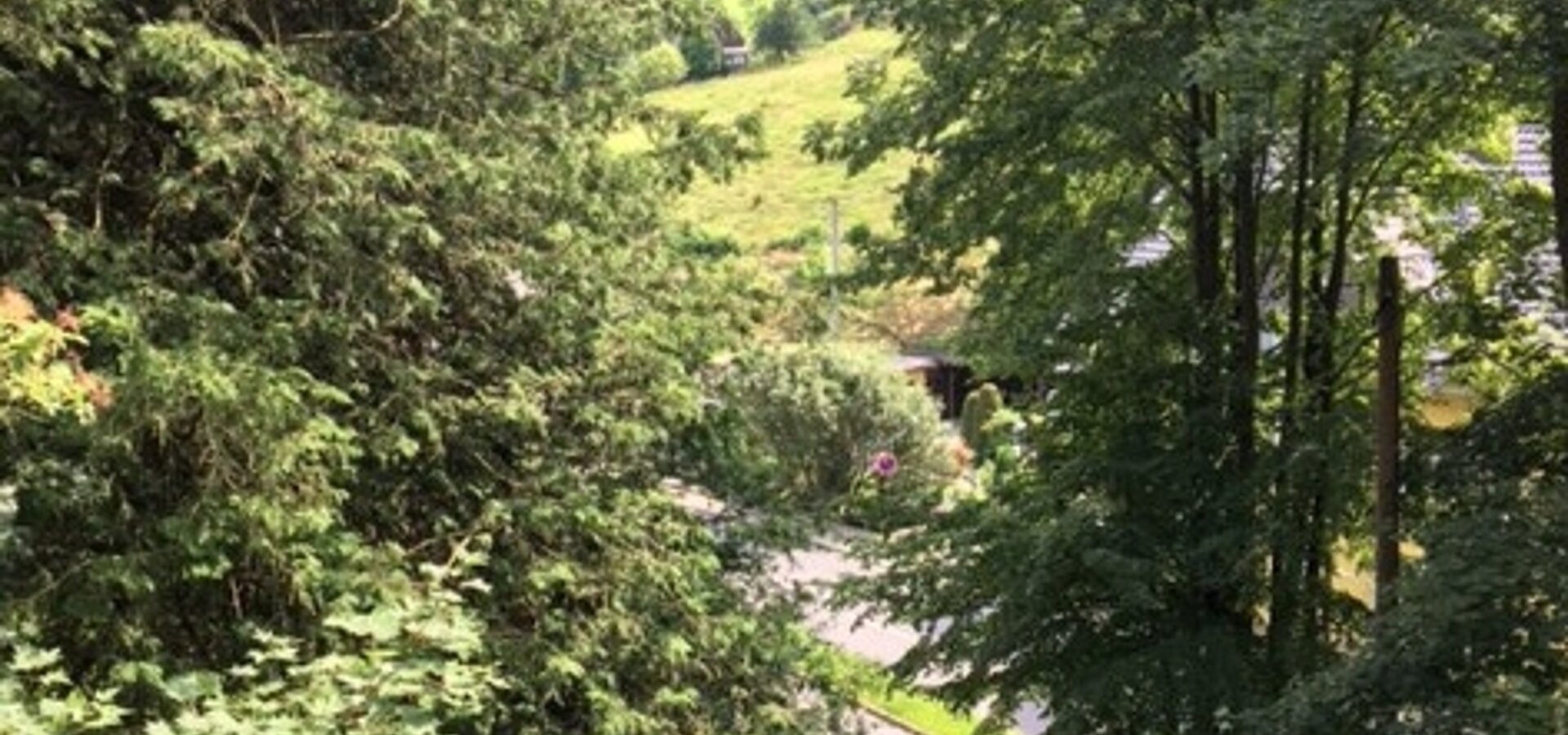 Blick 1 aus dem DG nach Südosten