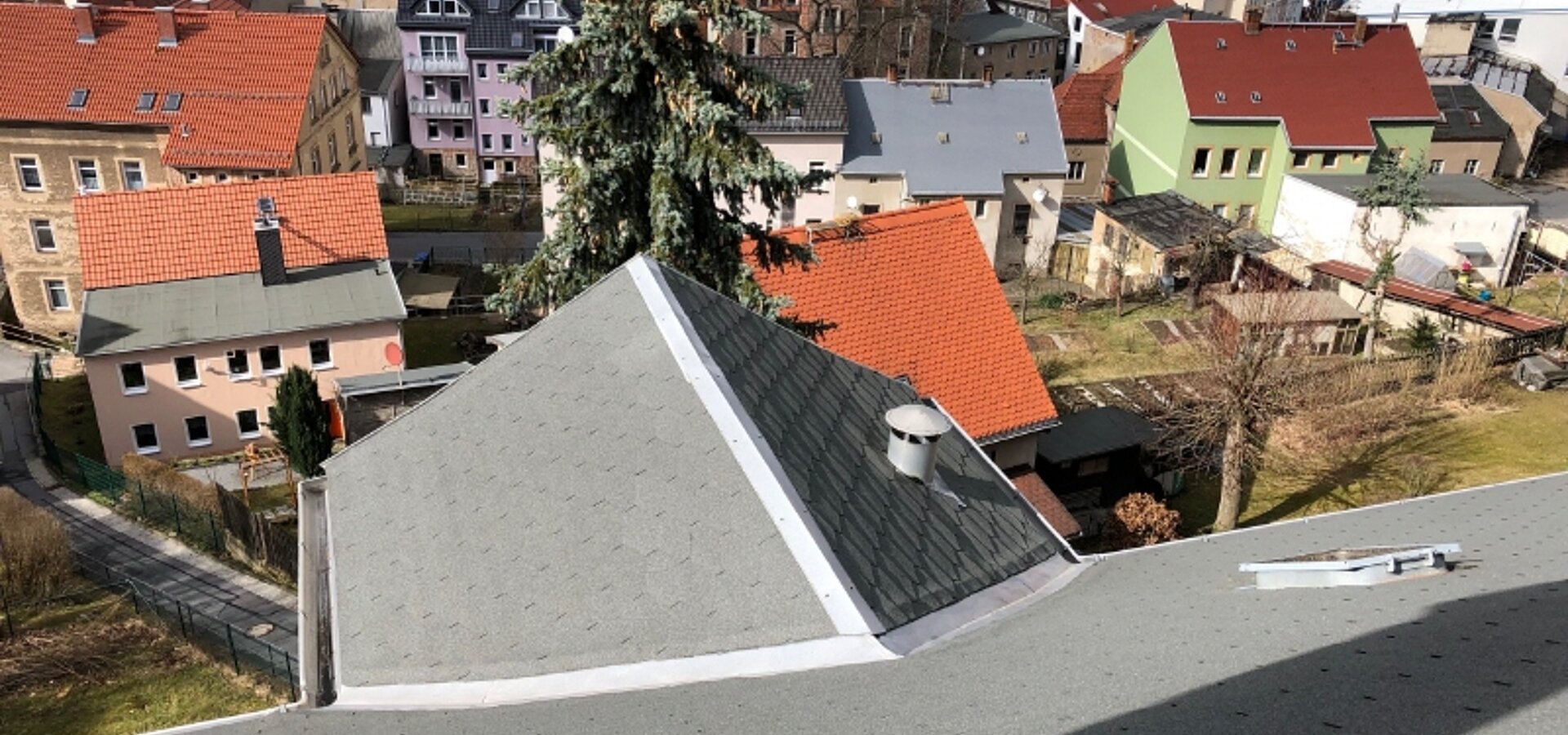 neu (1)