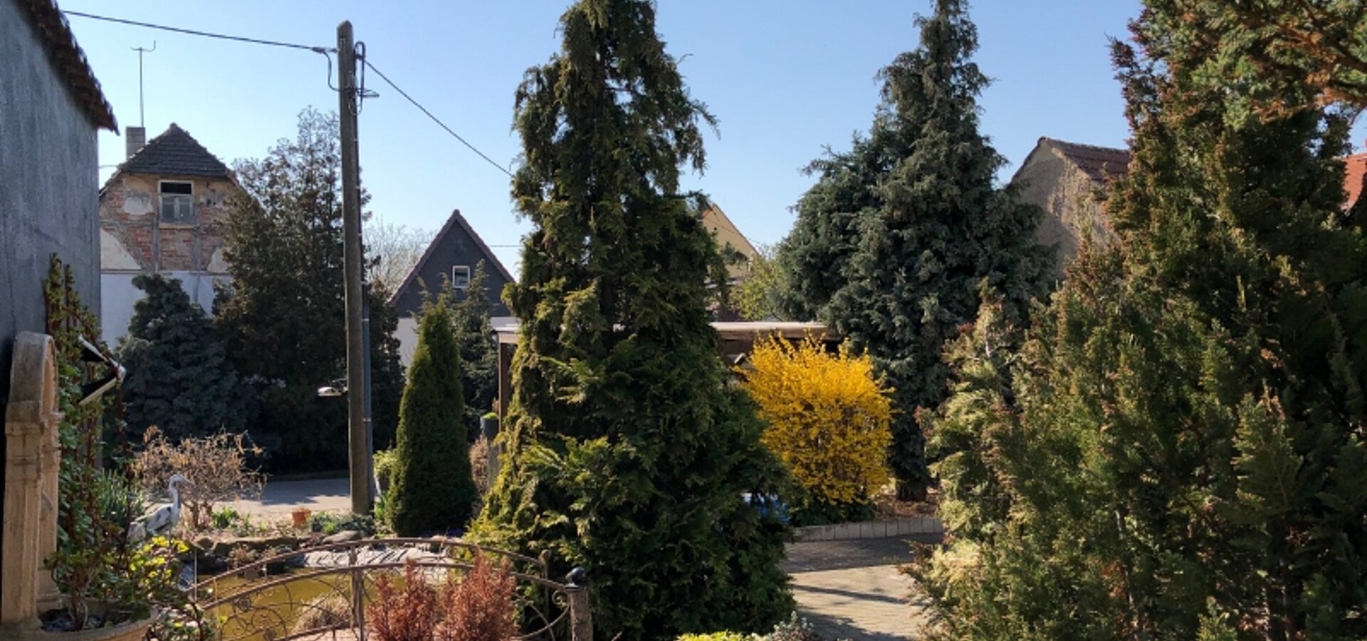 Blick 1 in den Garten