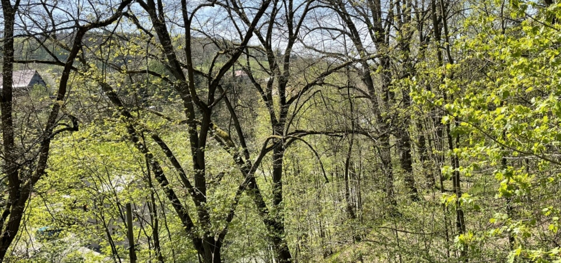Blick aus dem ersten OG nach Südwesten