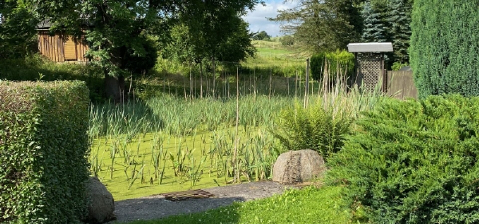 Teich auf Nordost