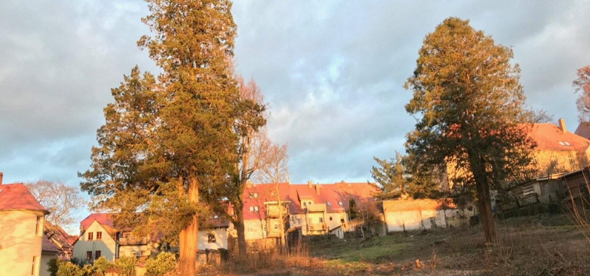Angekommen (1)
