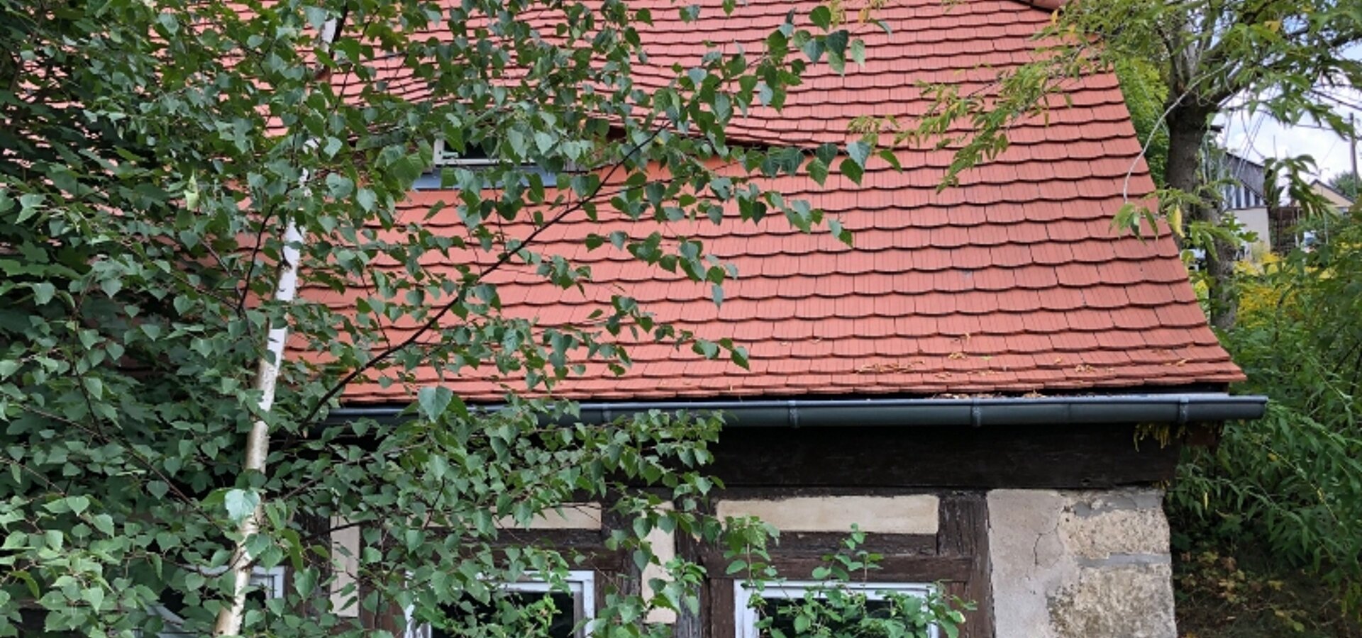 Westseite bergseits (1)