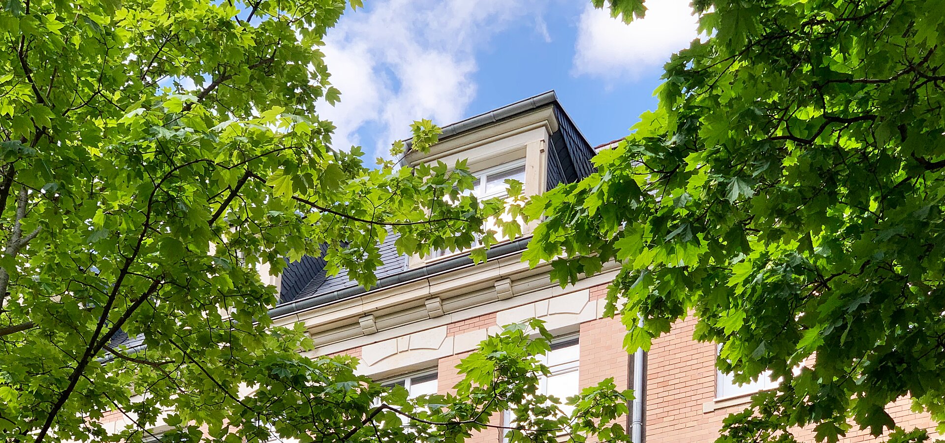 Fassade Detail