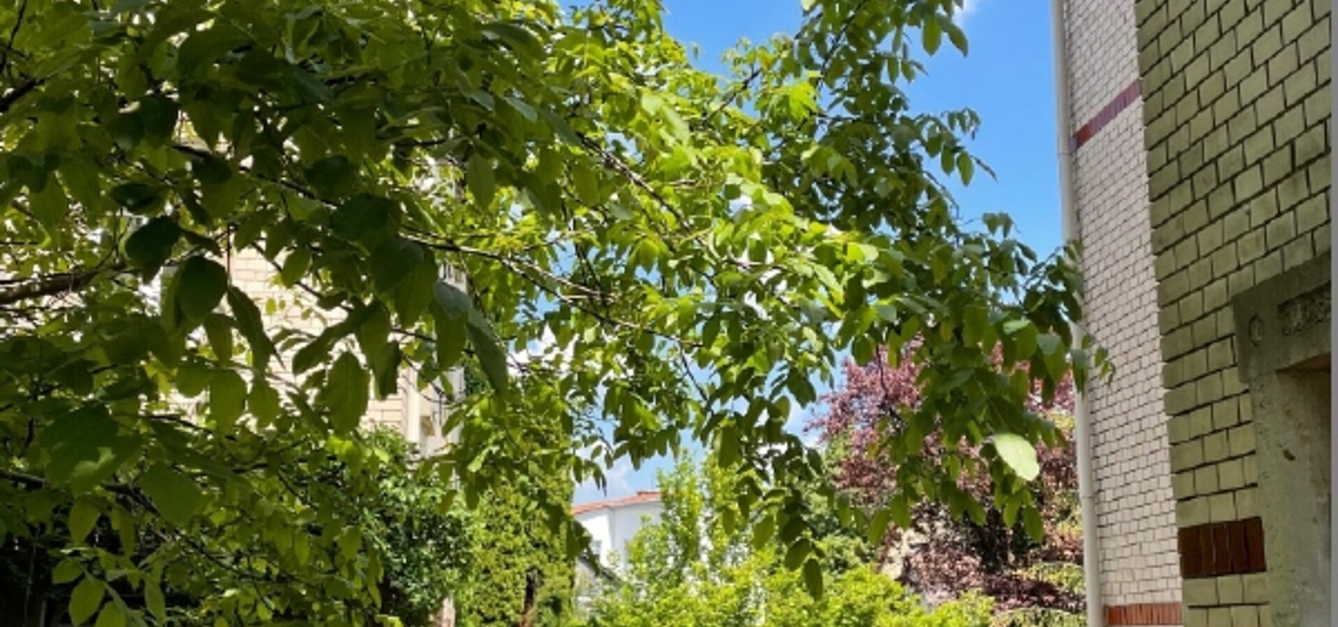 zum Garten und zur Remise