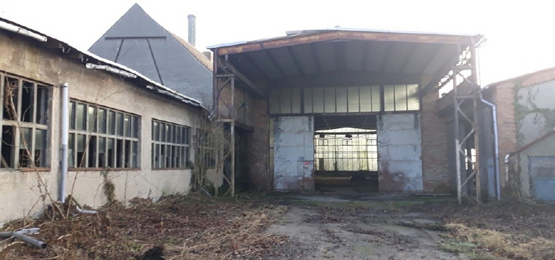 Halle Ansicht