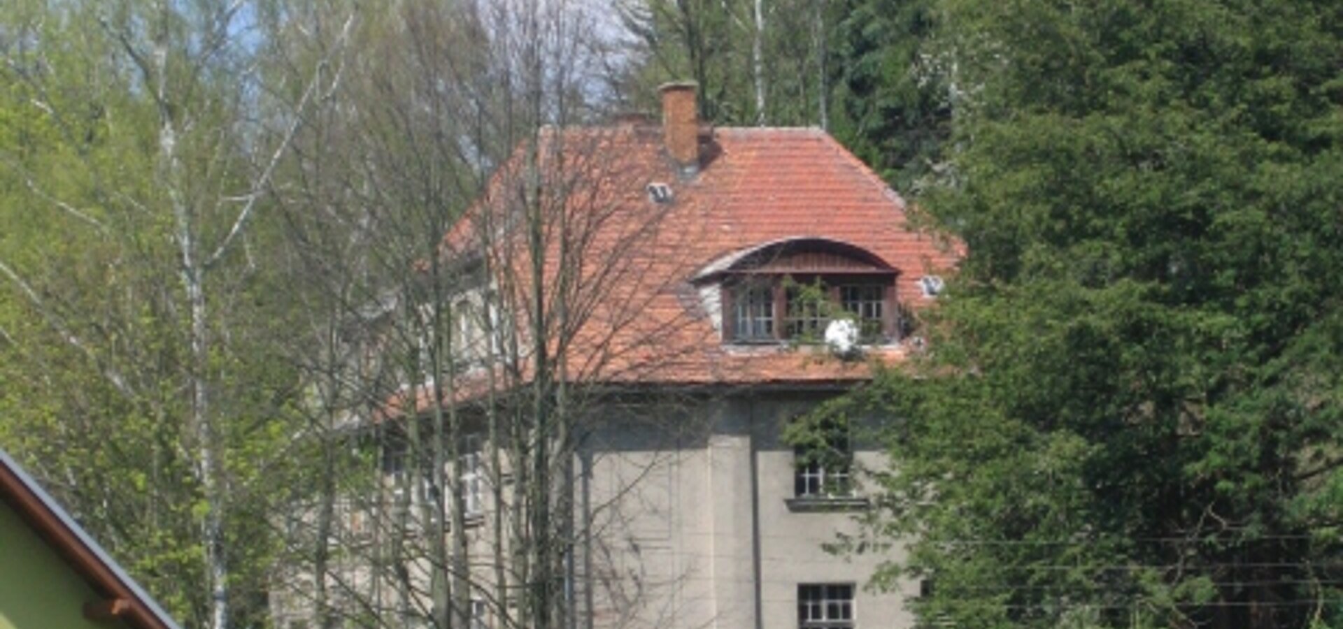 im Grünen