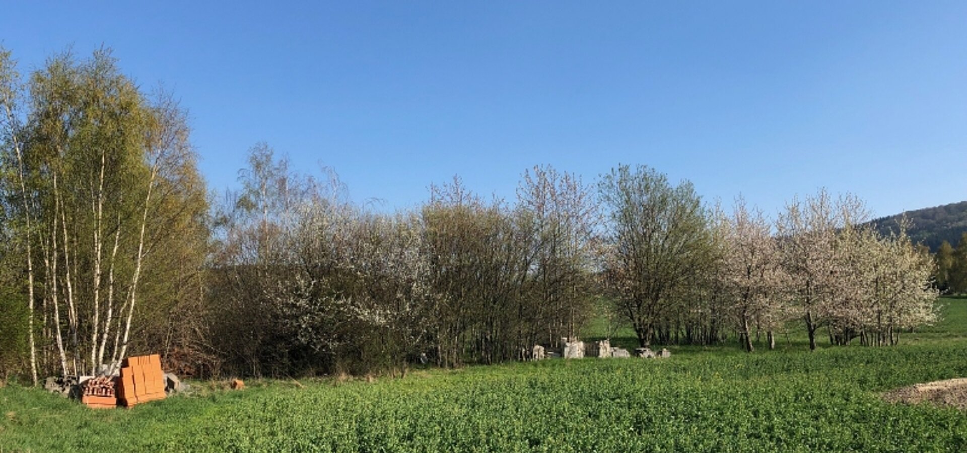 Ihr Garten von West (2)