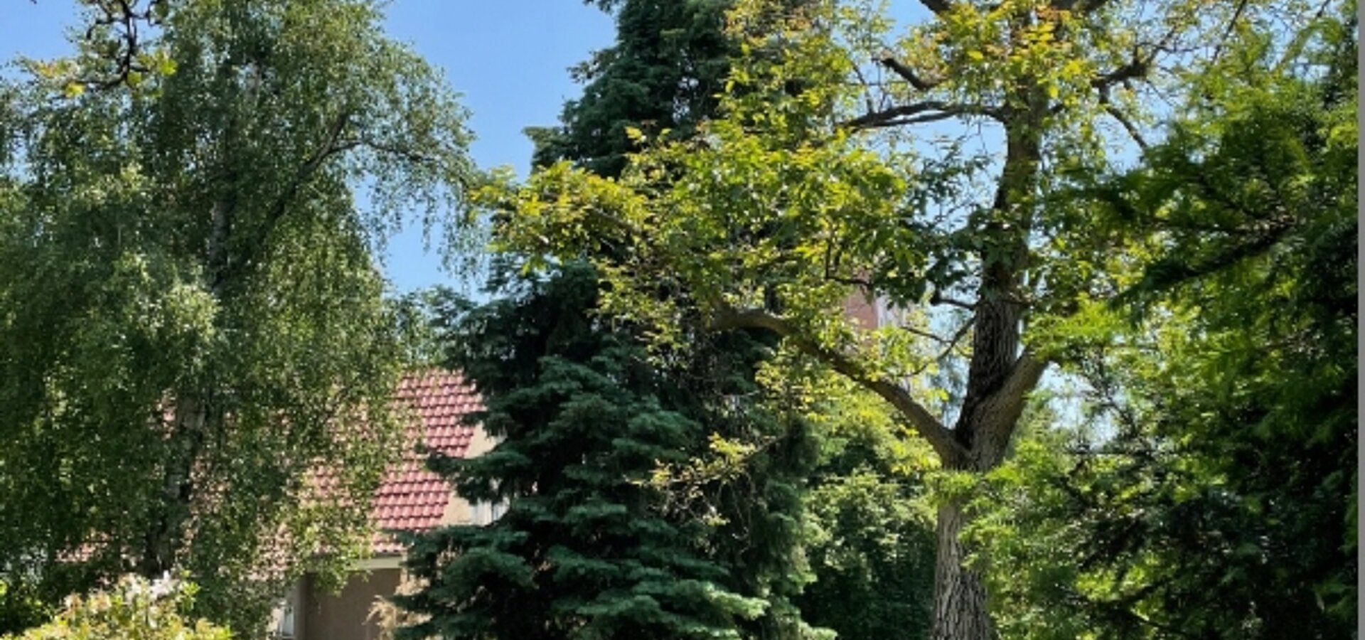 Gartenidylle (1)