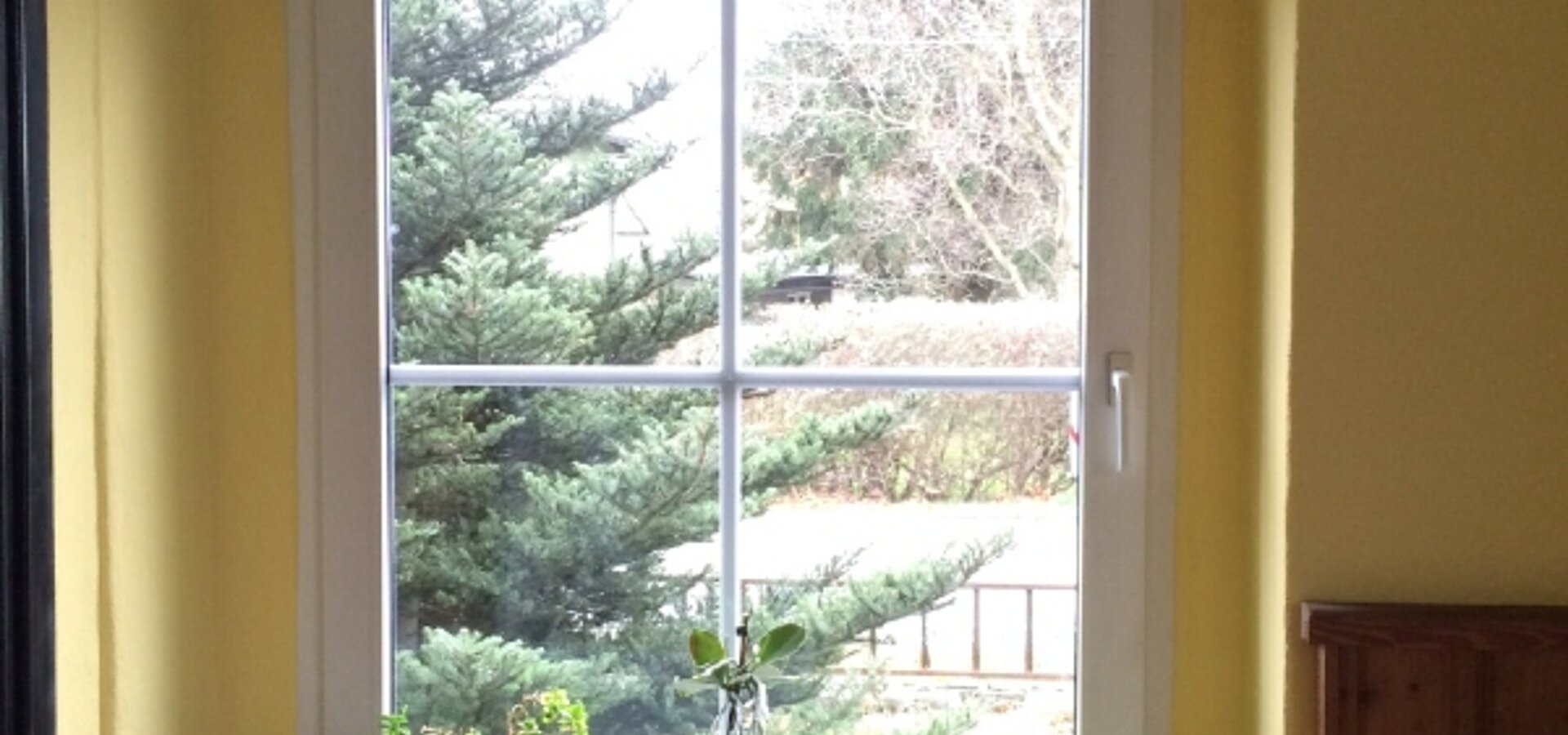 Fenster Typ 1