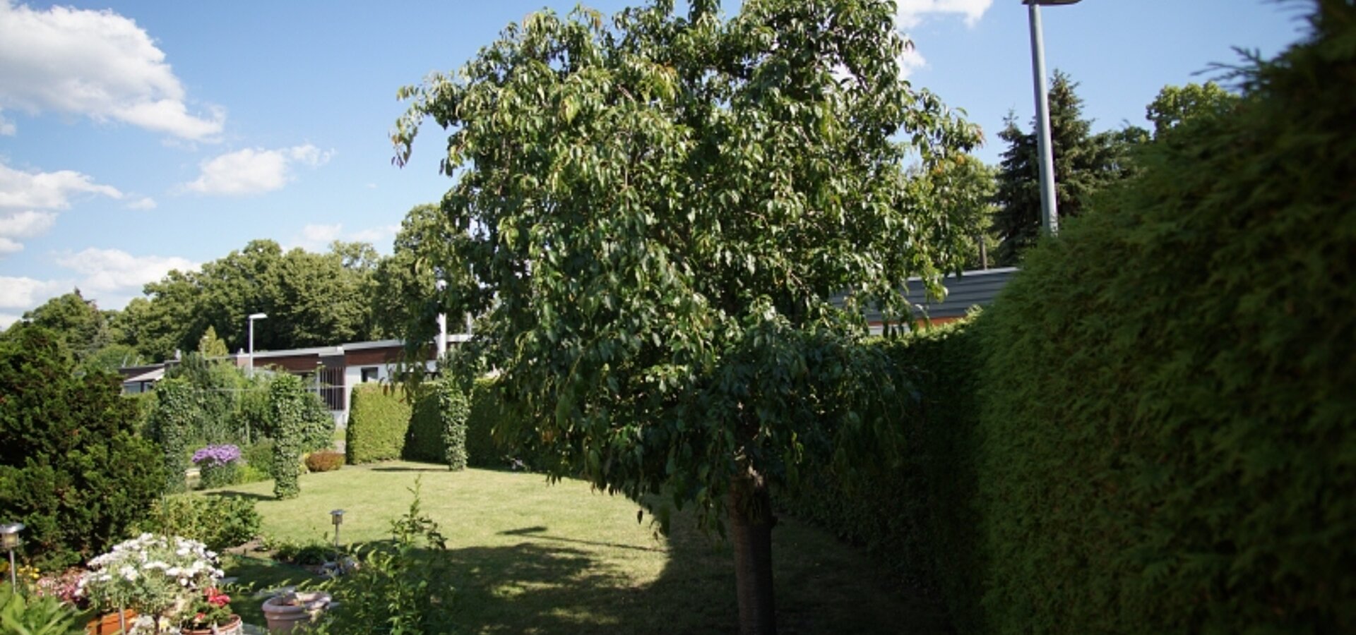 Gartenidylle (1)