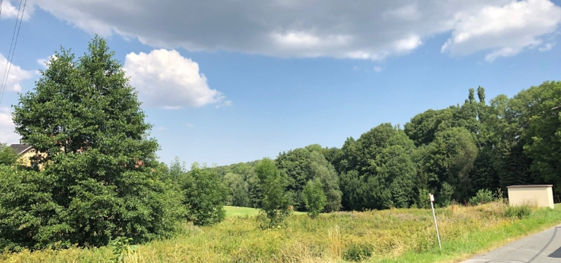 Grünland westlich der Straße (3)