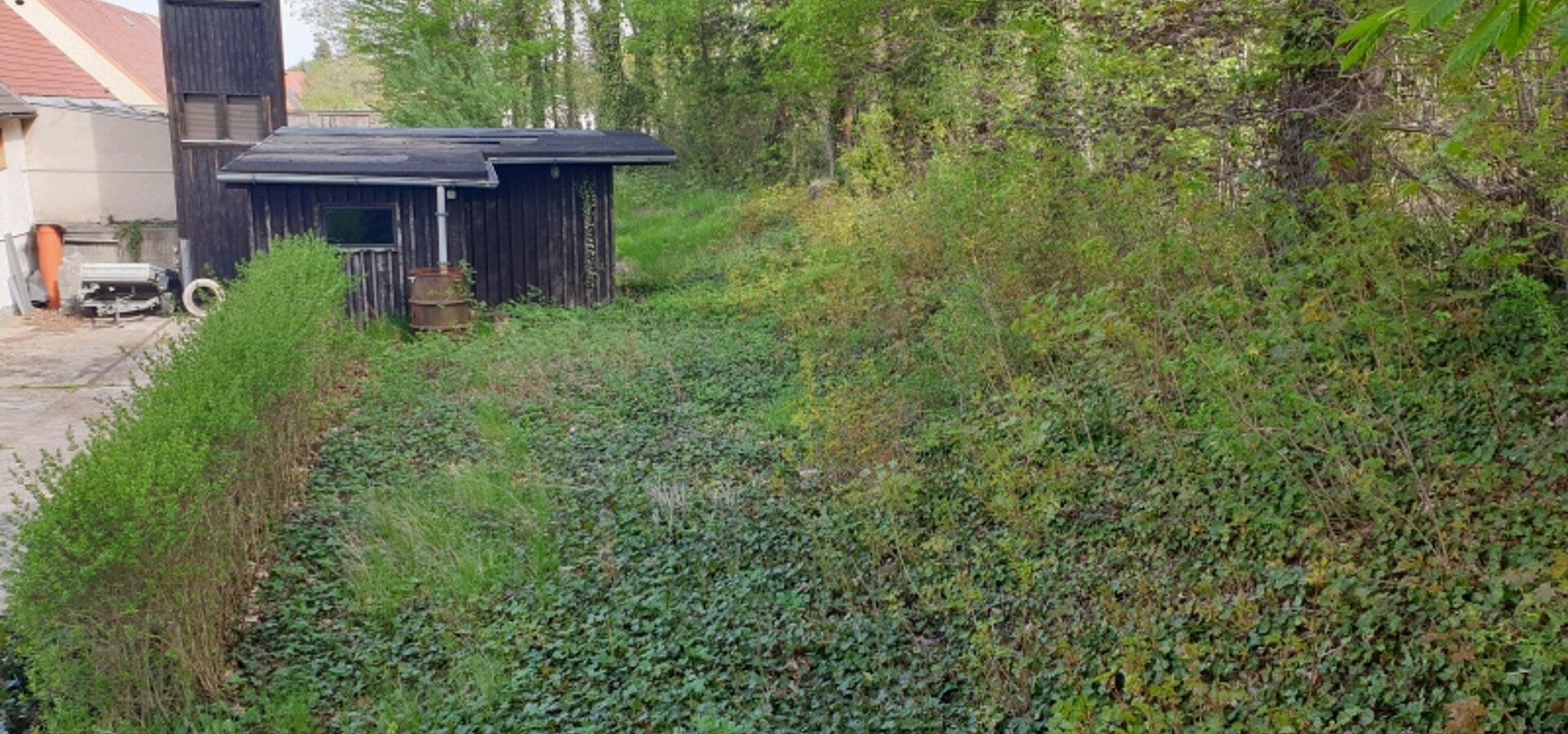 Garten auf Nordost (2)